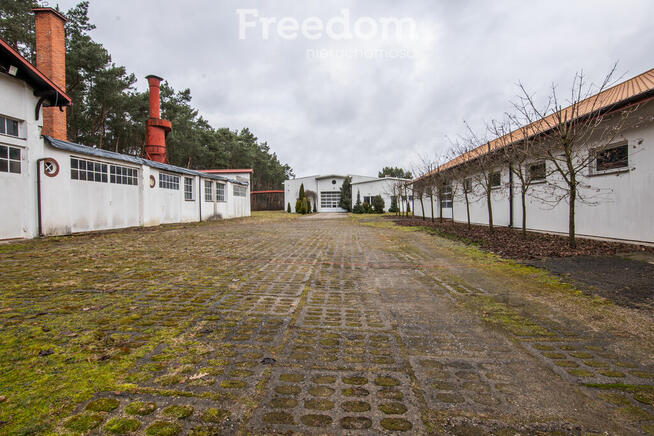 Hala produkcyjna z magazynem, biurami oraz działką