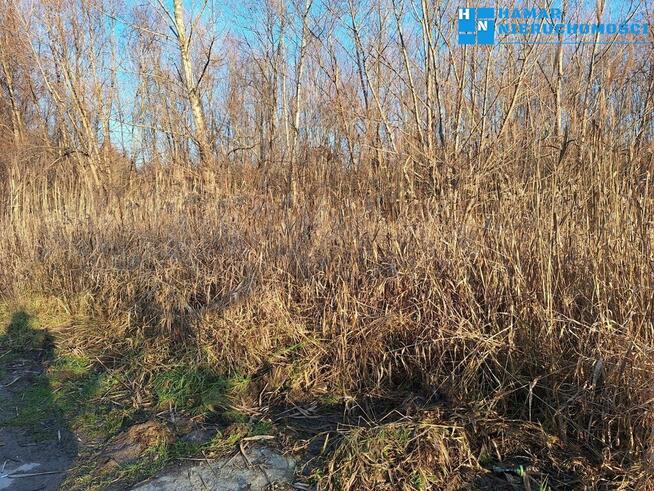 Zaborów#Blisko szkoły#Puszczy Kampinoskiej#1195m2