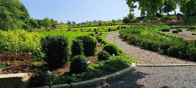 Kierowca Ciężarówki pozna plus size i XXL