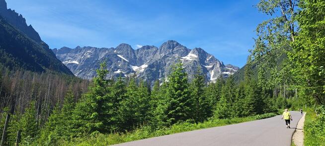 Kierowca Ciężarówki pozna plus size i XXL