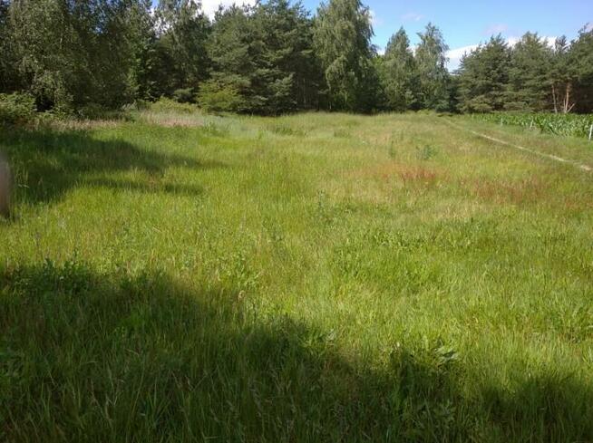 Sprzedam działkę rolną z wydaną decyzją o warunkach zabudowy