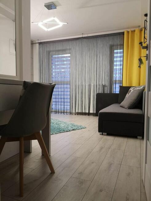 Wynajem mieszkania bezpośrednio od właściciela