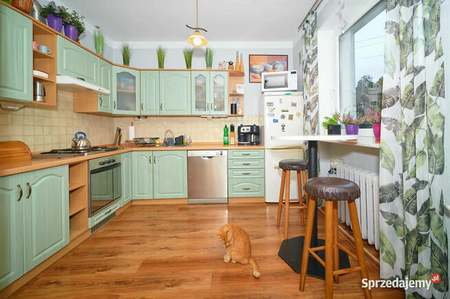 Dom jednorodzinny z potencjałem Kudowa Zdrój