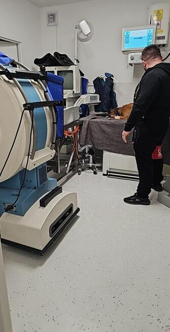 Zbiórka na leczenie Wegi