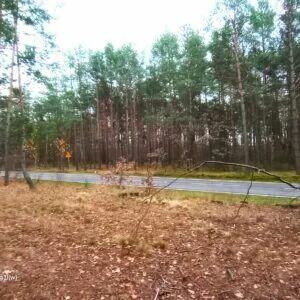 Działka leśna 5,2 ha i rolna 0,55ha Tłuszcz Pawłów Jadów