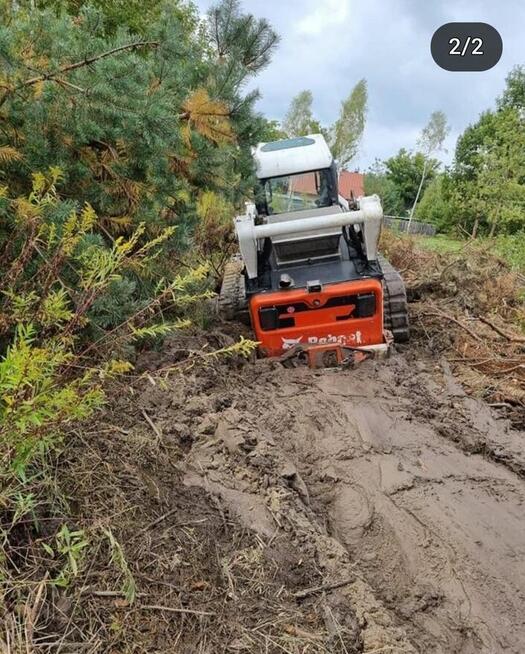 Oczyszczanie działek wycinka drzew karczowanie mulczer leśny