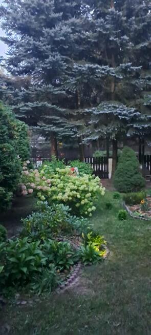 Urlop ,wczasy wypoczynek tylko w Miłukach Warmia i Mazury