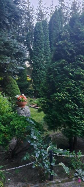 Urlop ,wczasy wypoczynek tylko w Miłukach Warmia i Mazury