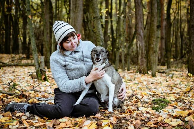 Kantor-pies wymagający pracy czeka na świadomy dom-adopcja