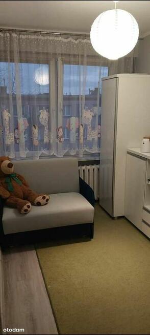 Mieszkanie 2 pokoje, Borek ul.Kocjana