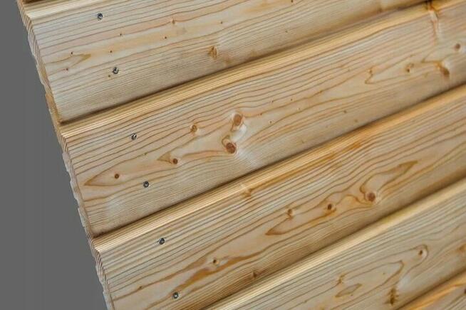 Deska drewniana modrzew syberyjski 20x146mm Profil Budmax