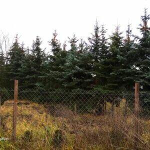 Działka 2200m Warszawa Białołęka Tarchomin