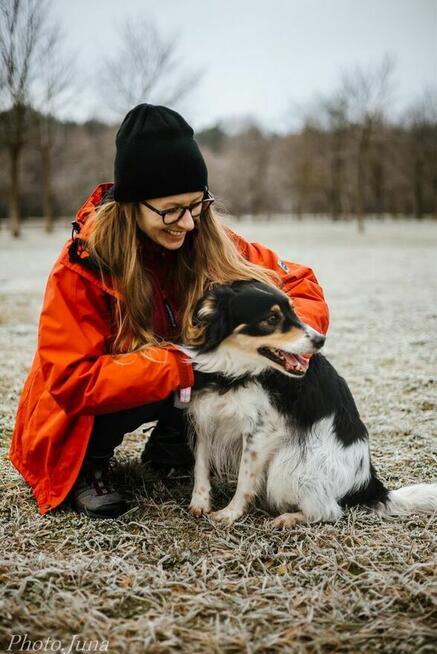 Borda-suczka z charakterem, do świadomej adopcji