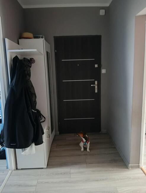 Mieszkanie 3 pokojowe + balkon + garaż + działka / ogródek