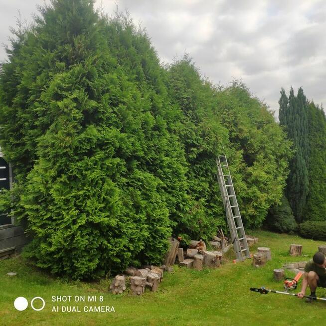 Przycinanie żywopłotów, sprzątanie działek