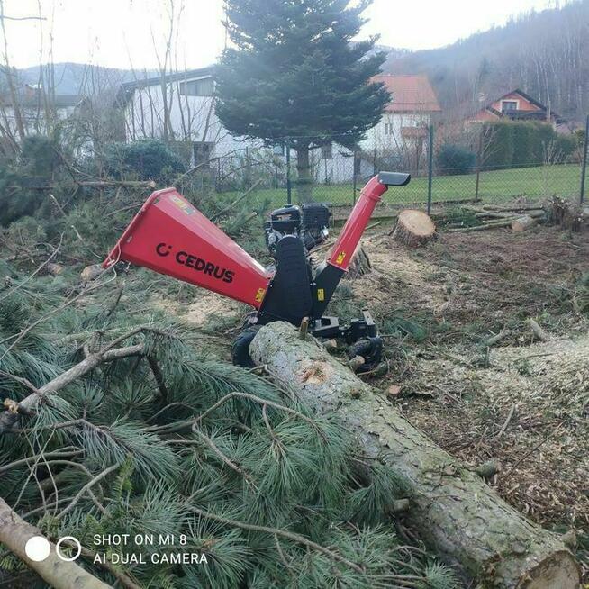 Przycinanie żywopłotów, sprzątanie działek