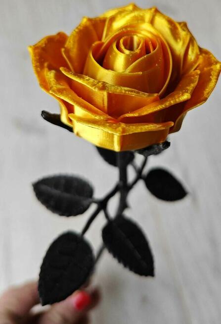 Piękne Złote Róże 5 sztuk- 30 zł