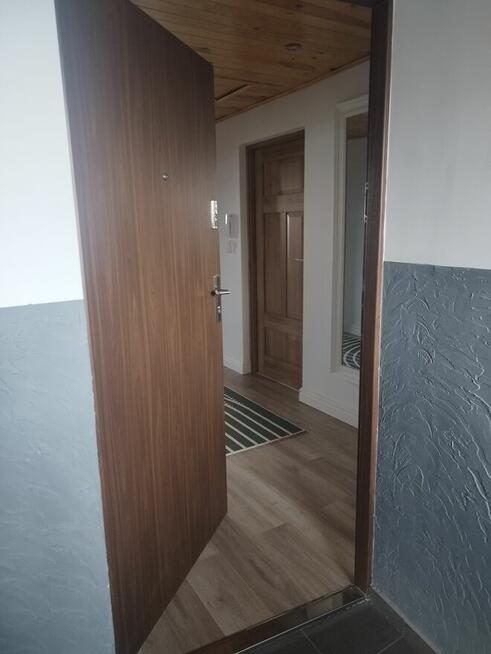 Do wynajęcia bezczynszowy apartament