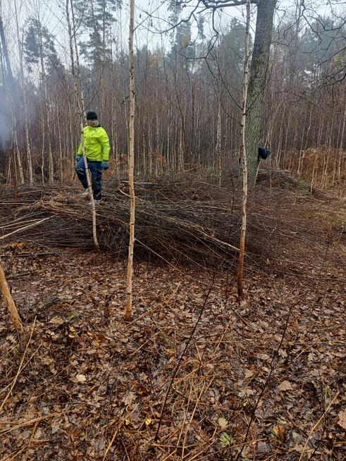 Usługi ogrodnicze trawniki i cięcia żywopłotów.