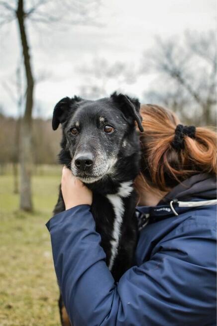 Topik- 14 letni staruszek, nie ma czasu czekać-pilna adopcja