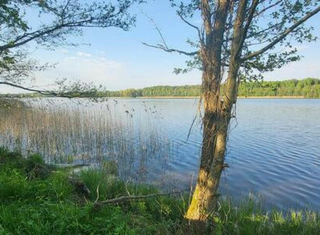 Działka Gołdap Mazury - z linią brzegową jeziora