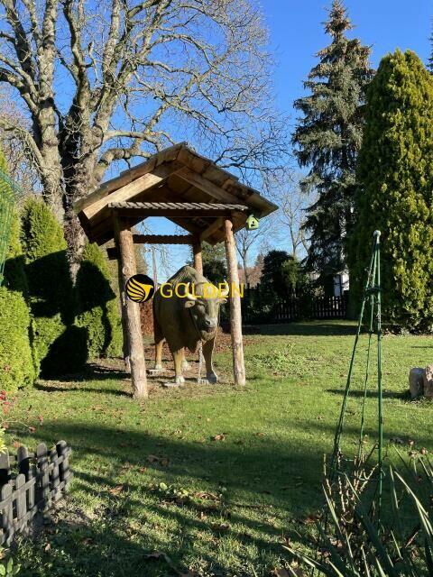 Lokal użytkowy Barnisław gm. Kołbaskowo