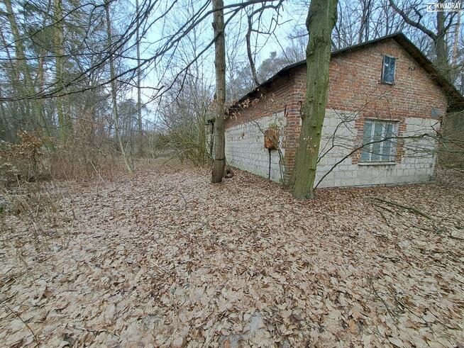 Działka budowlana Lasy gm. Kraśnik