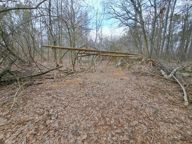 Działka budowlana Lasy gm. Kraśnik