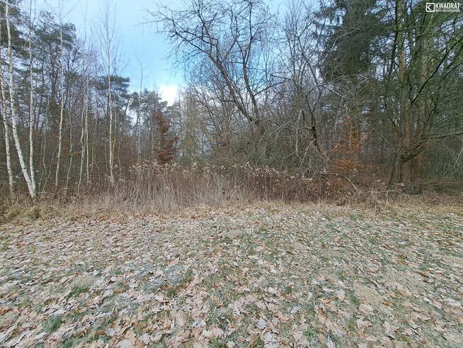 Działka budowlana Lasy gm. Kraśnik