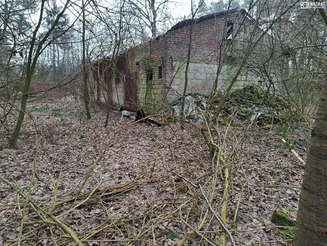 Działka budowlana Lasy gm. Kraśnik