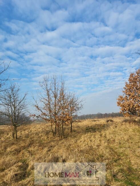 Działka Bożejowice gm. Bolesławiec