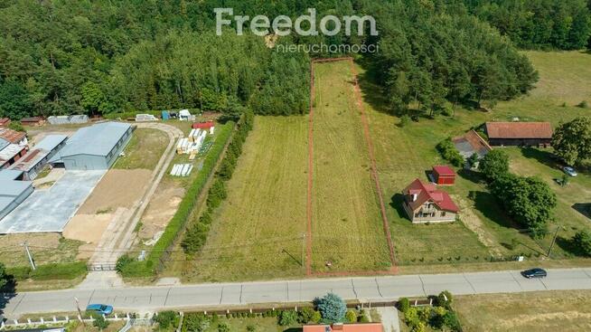 Działka pod budowę 2953 m² w m. Ciemna Dąbrowa .