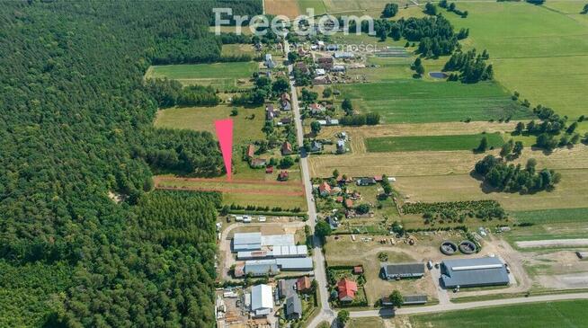 Działka pod budowę 2953 m² w m. Ciemna Dąbrowa .