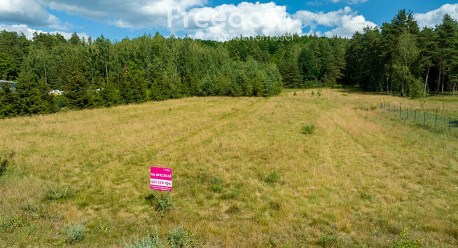 Działka pod budowę 2953 m² w m. Ciemna Dąbrowa .