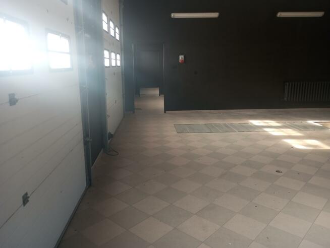 Lokal użytkowy Pilawa