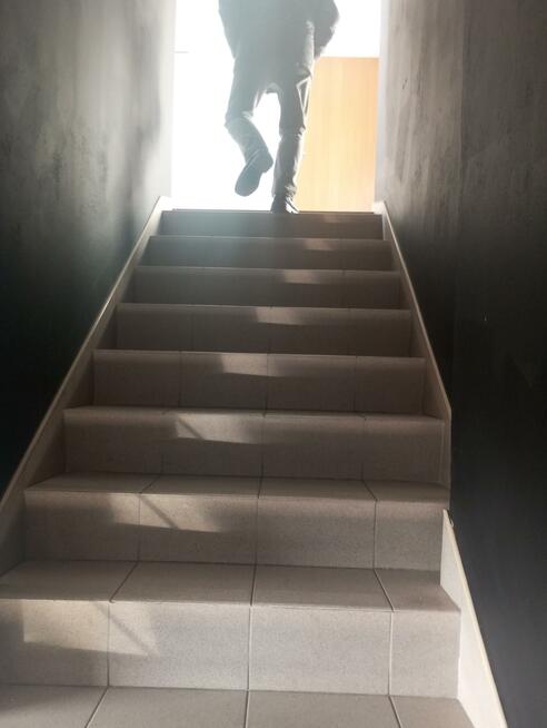 Lokal użytkowy Pilawa