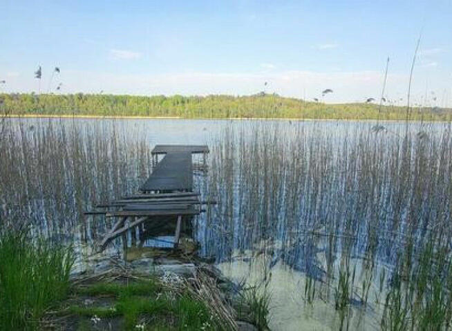 Działka Gołdap Mazury - z linią brzegową jeziora