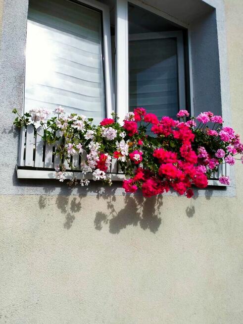 drewniane płotki okienne