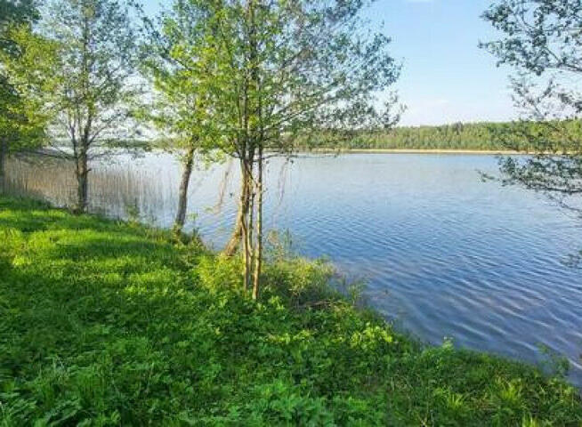Działka Gołdap Mazury - z linią brzegową jeziora