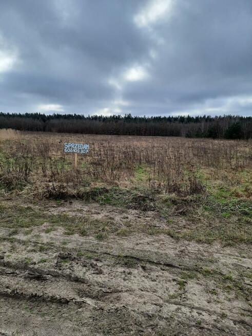 Sprzedam ziemię w Biskupnicy