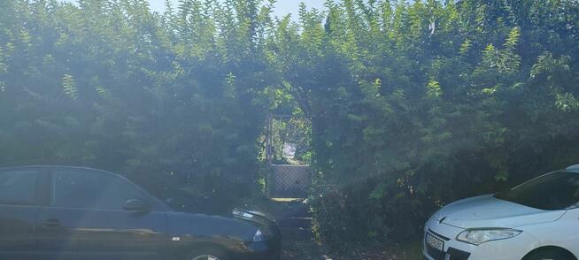 Działka rekreacyjna