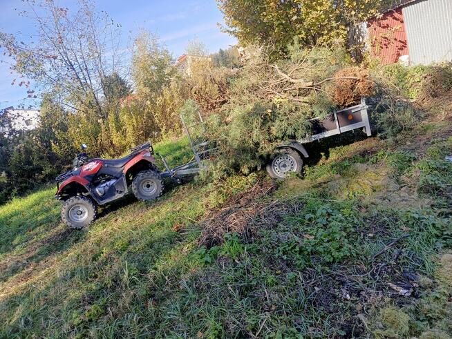 Usługi ogrodnicze trawniki i cięcia żywopłotów.