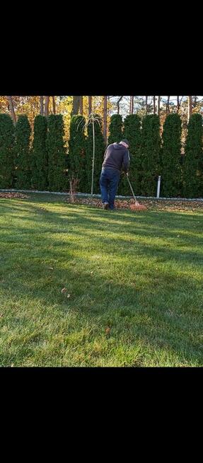 Usługi ogrodnicze trawniki i cięcia żywopłotów.