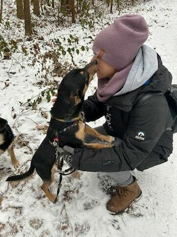 SZczeniak GACUŚ czeka na dom
