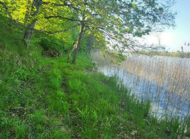 Działka z linią brzegową jeziora | Gołdap