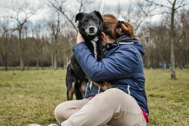 Topik- 14 letni staruszek, nie ma czasu czekać-pilna adopcja