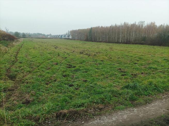 działka rolno budowlana