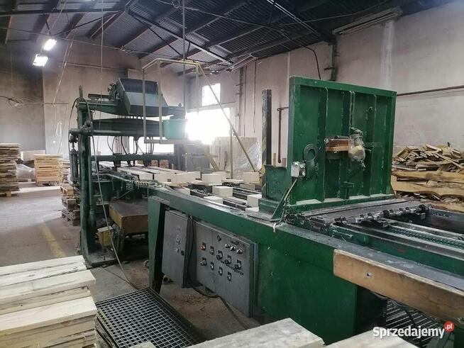 Linia do zbijania palet euro Boldrew