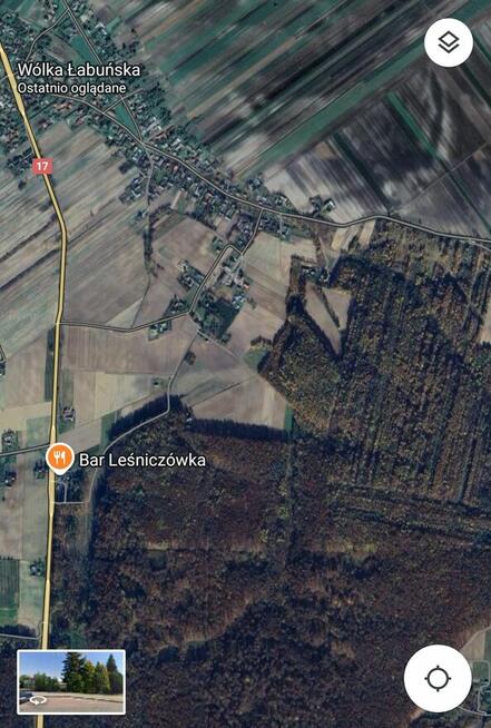 Stary Las bukowo-grabowo-dębowy o pow. 1,13ha gm. Łabunie