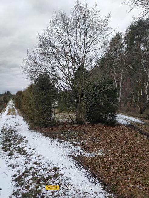 Działka RODO w Pile. Działki Zalesie.